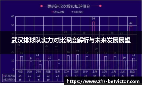 武汉排球队实力对比深度解析与未来发展展望